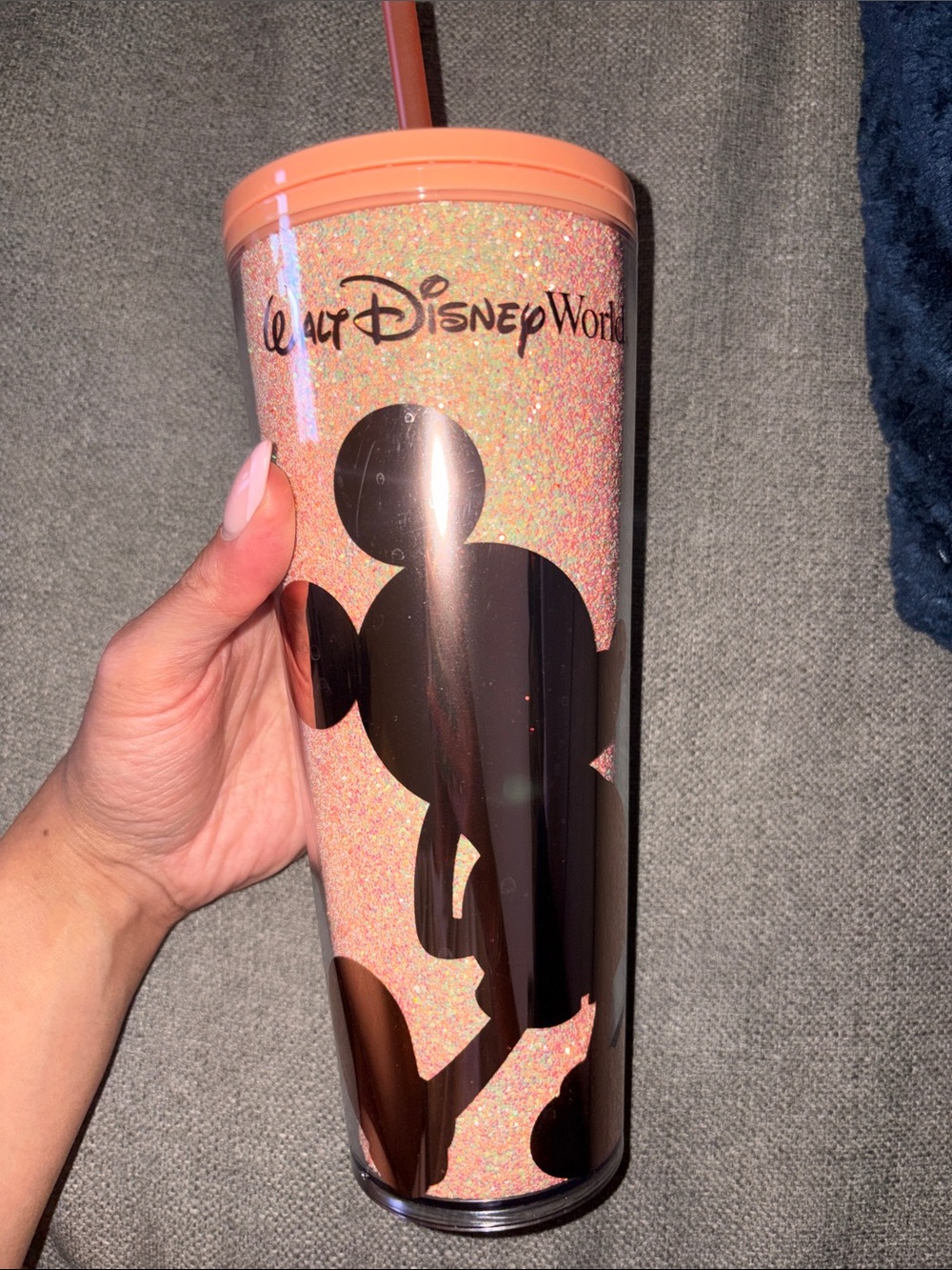 Walt Disney World Peach Tumbler 24oz